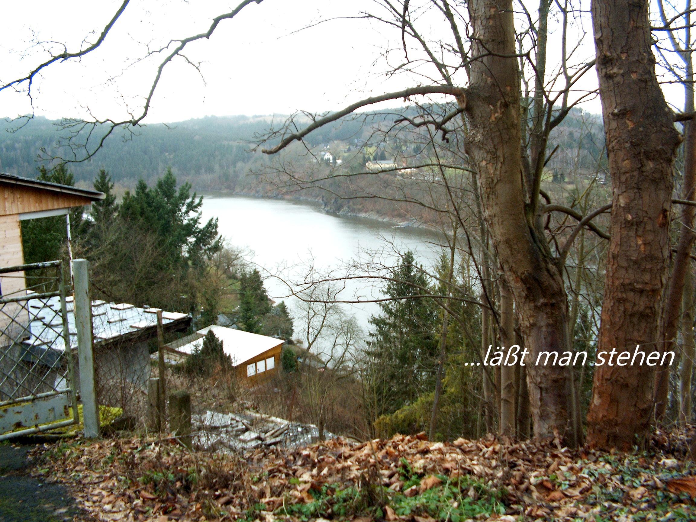 Wten im Wald