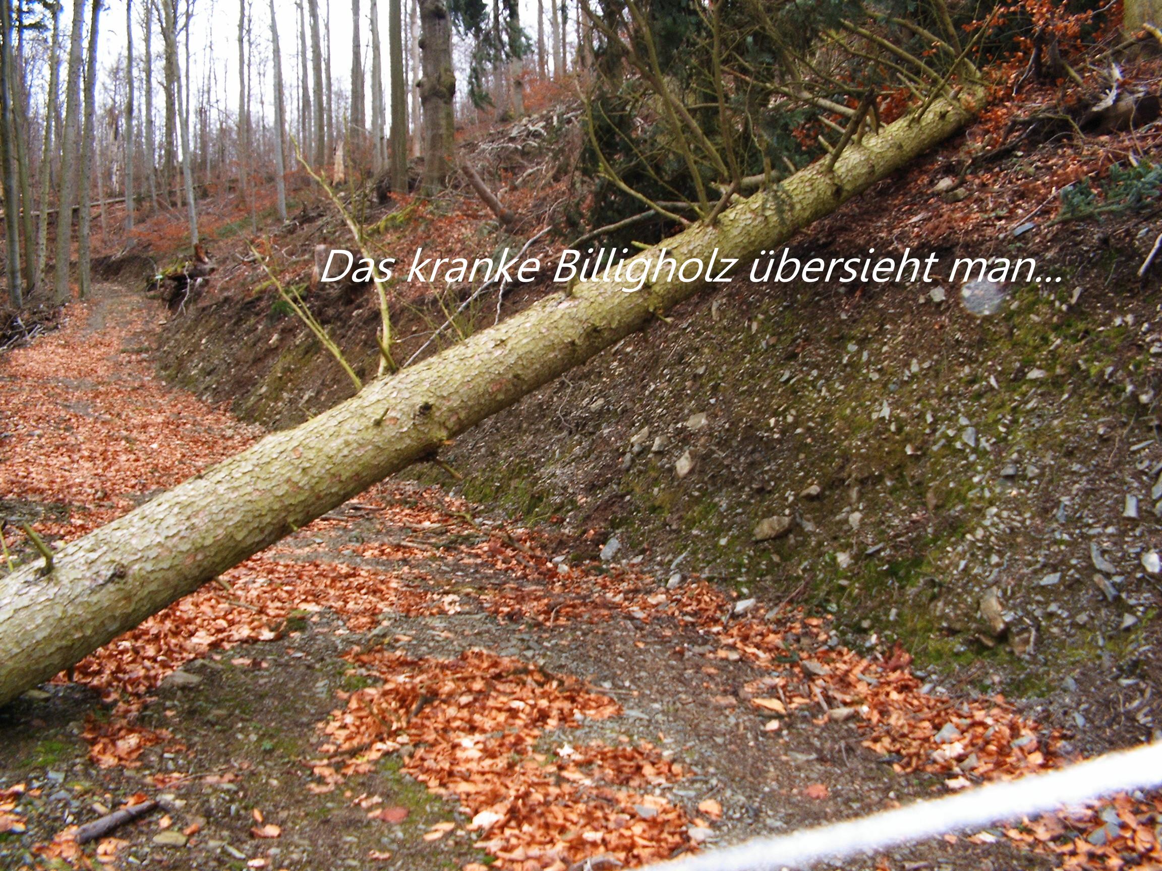 Wten im Wald