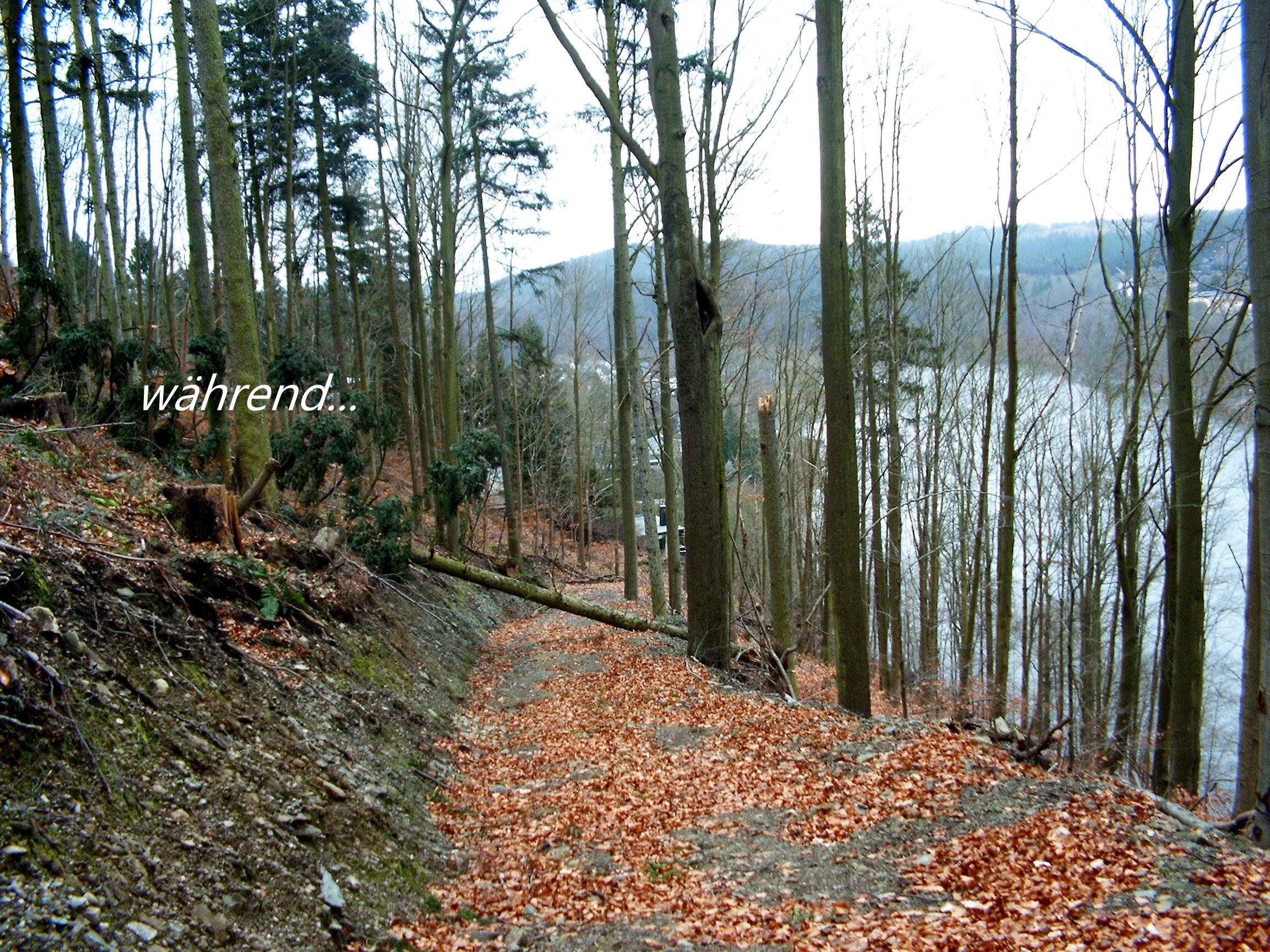 Wten im Wald